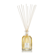 Load image into Gallery viewer, Dr.Vranjes Ambra