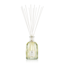 Load image into Gallery viewer, Dr.Vranjes Ginger Lime