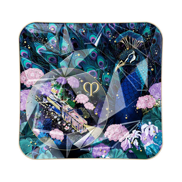 Dream Express Luminizing Face Enhancer